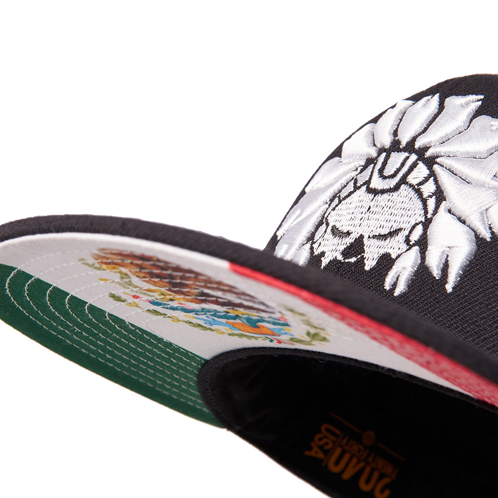 Gorra en Negro con Visera CURVA de Bandera Mexicana - Logo Patrio